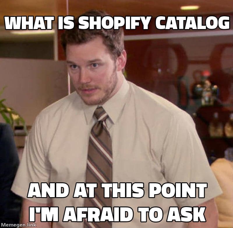 Afraid to ask meme: a man admits he does not know what Shopify Catalog is and is too afraid to ask
